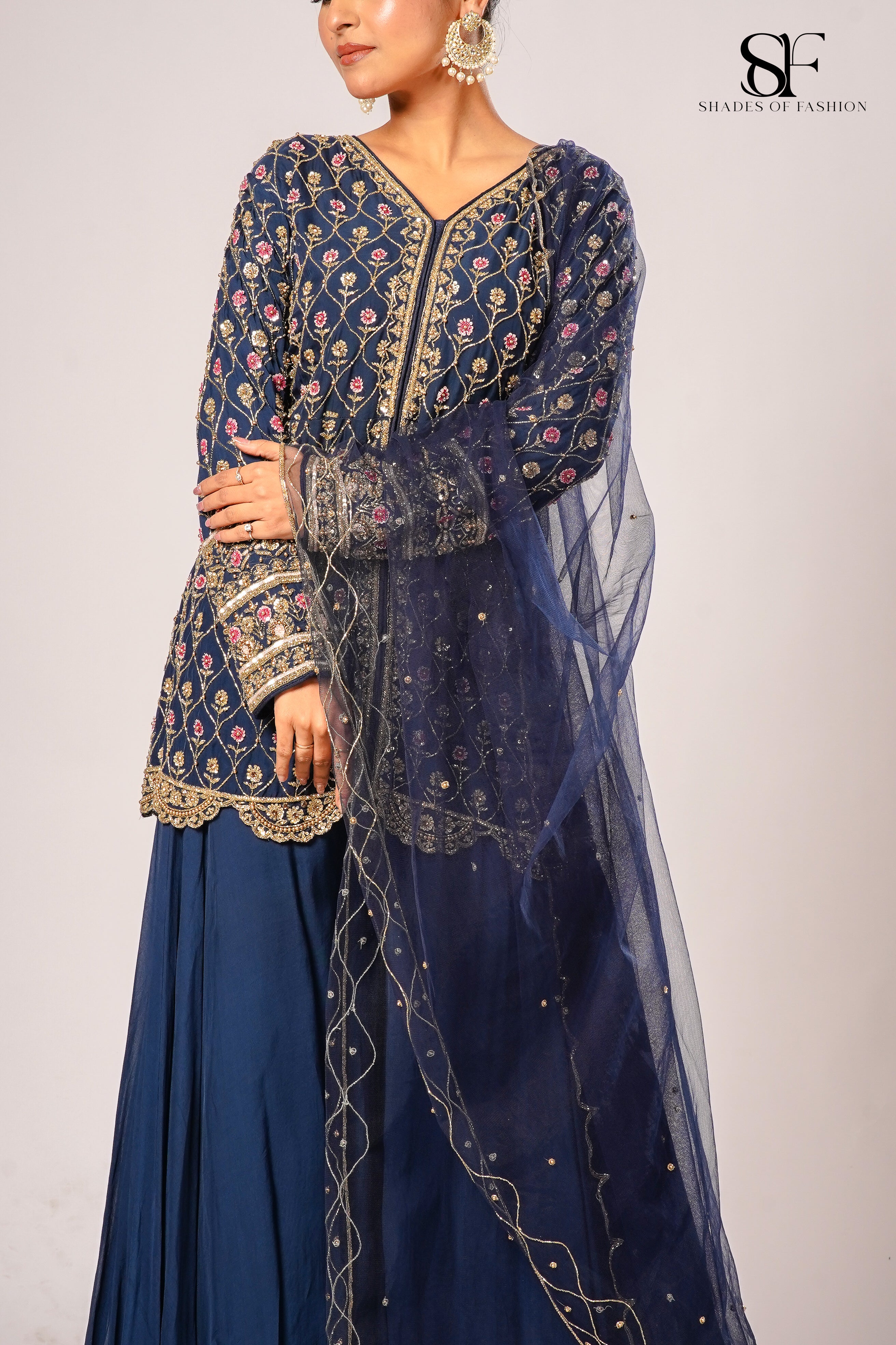 Navy Blue Viscose Organza Sharara Set - Full Hand Embroidery