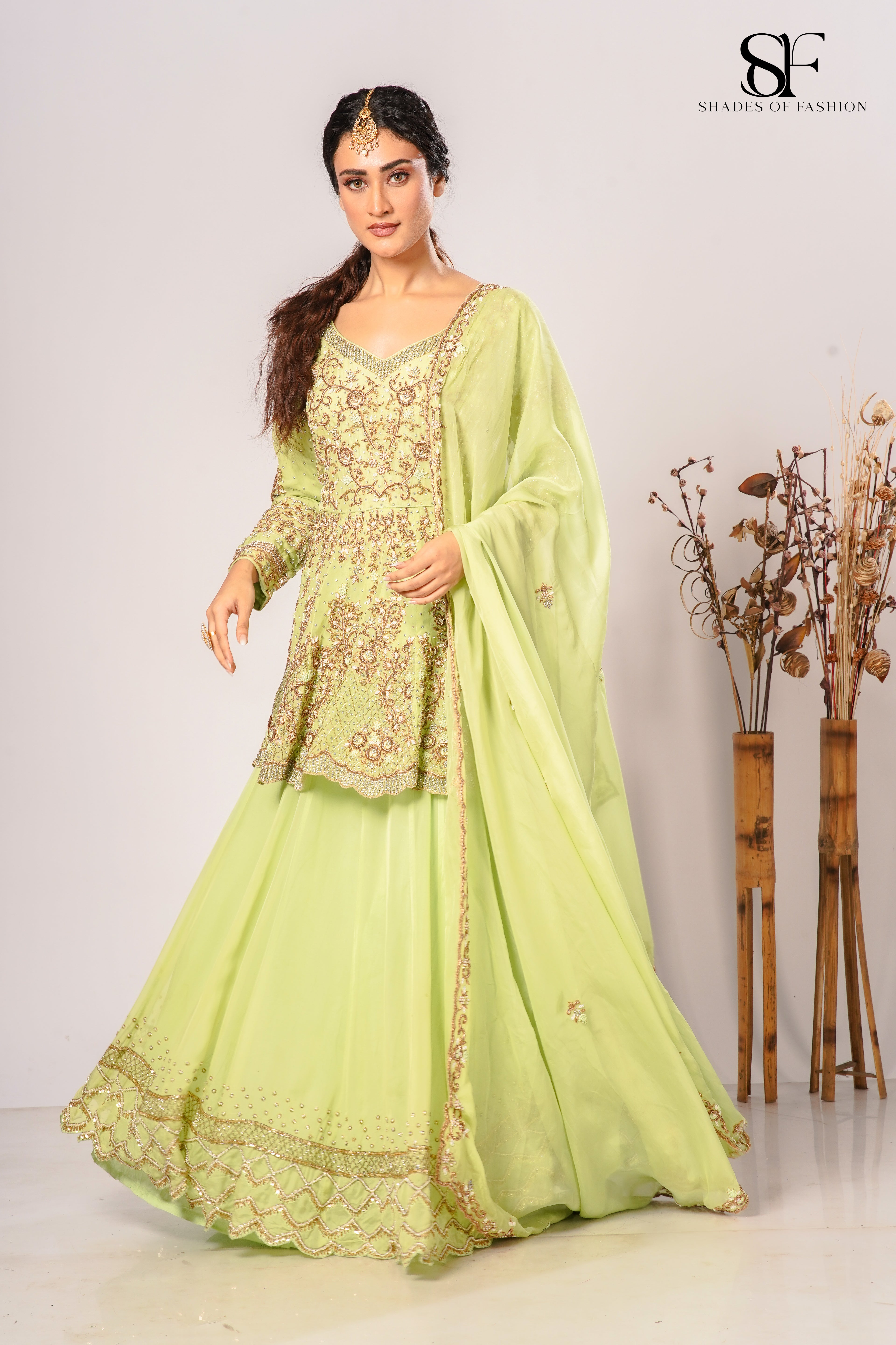 Pista Green Pure Organza Fishtail York Cut Set - Dapka & Zardozi Handwork