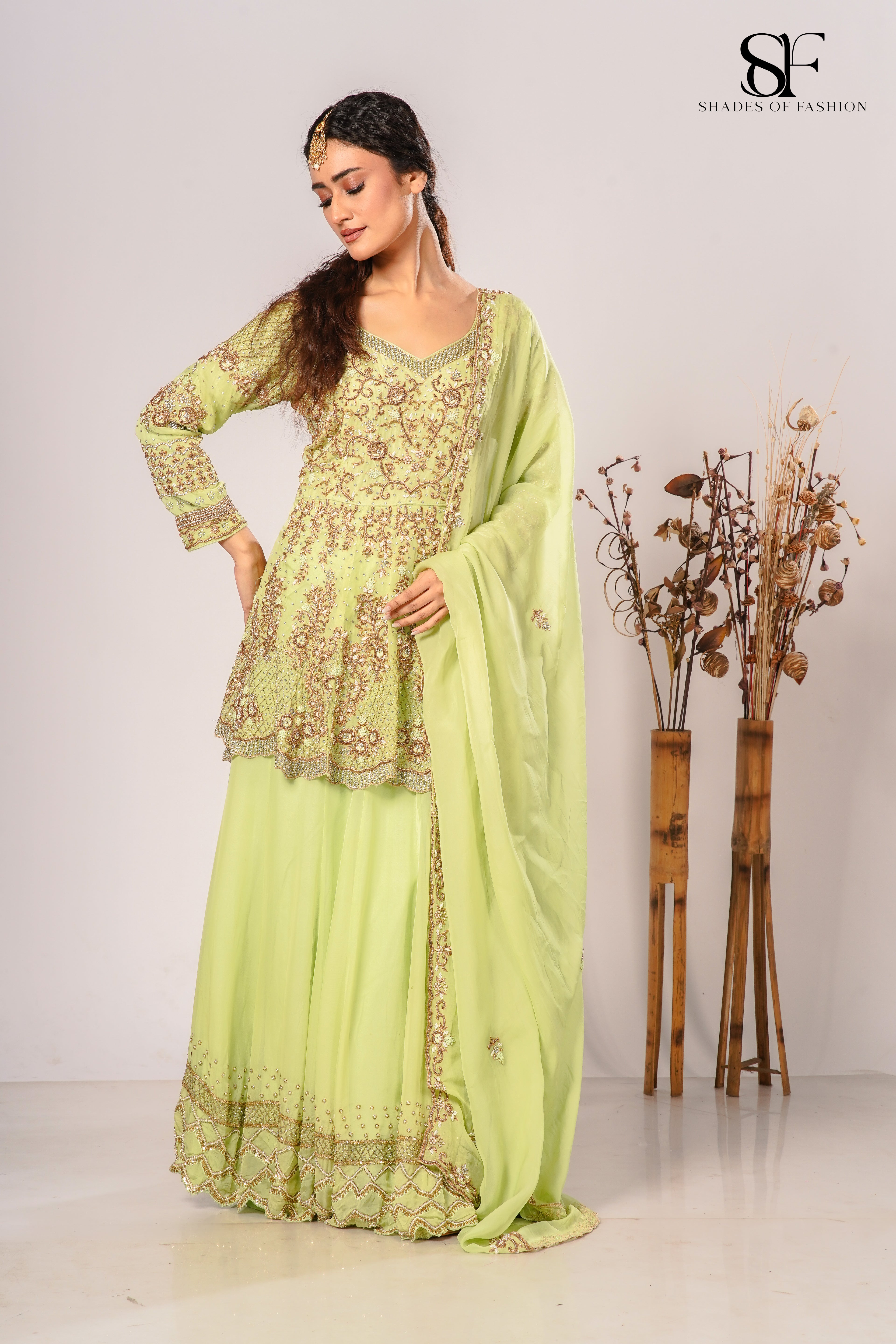 Pista Green Pure Organza Fishtail York Cut Set - Dapka & Zardozi Handwork