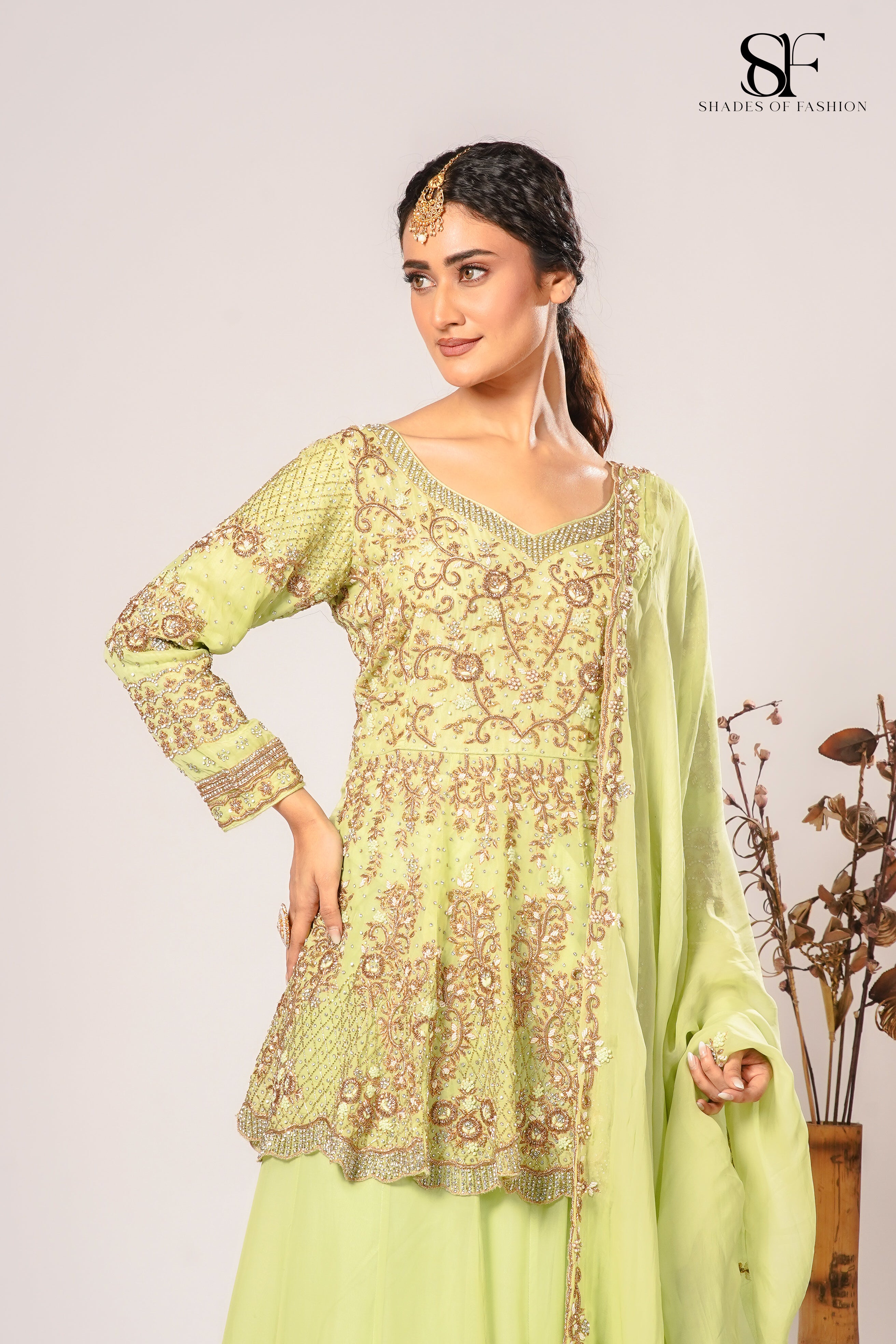 Pista Green Pure Organza Fishtail York Cut Set - Dapka & Zardozi Handwork