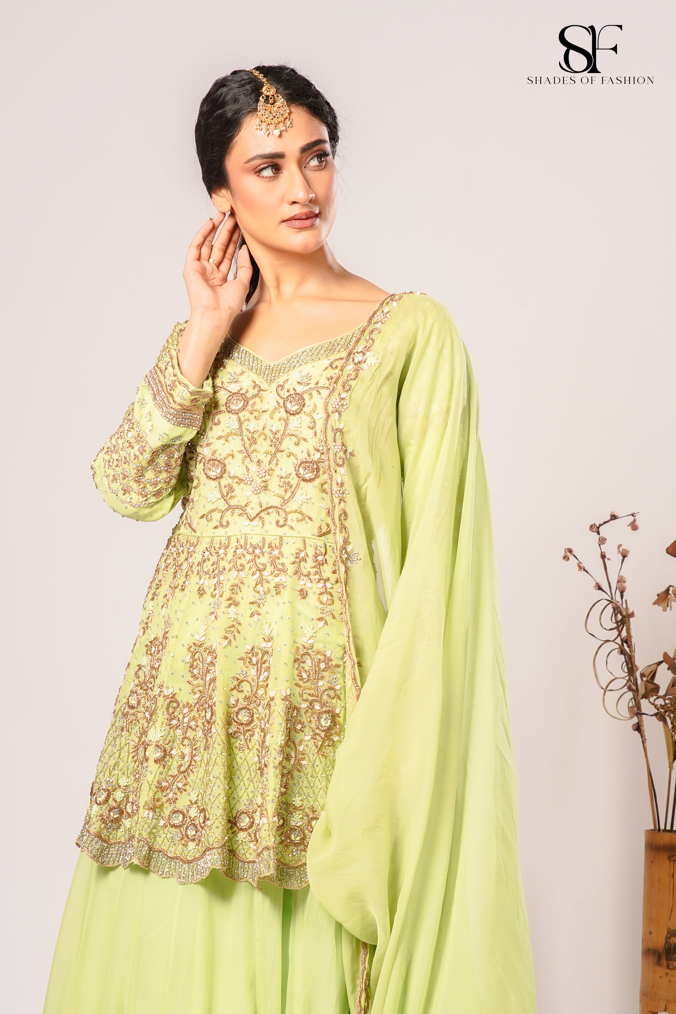 Pista Green Pure Organza Fishtail York Cut Set - Dapka & Zardozi Handwork
